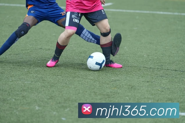 麻将胡了官网平台生态图